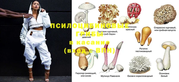 MDMA Вяземский